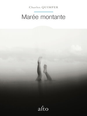 cover image of Marée montante